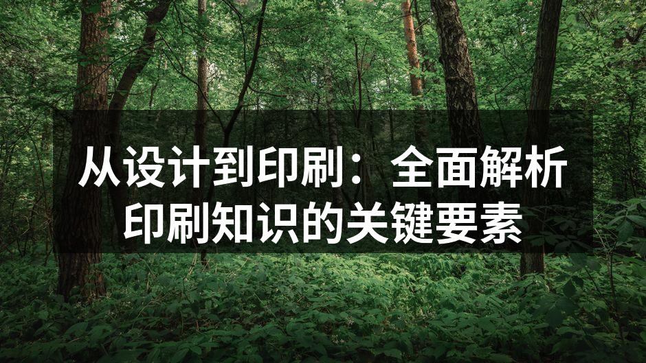 多种印刷工艺的展示
